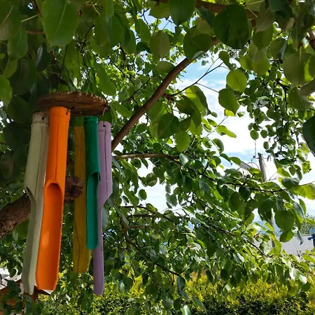 Apartment Herzblick *