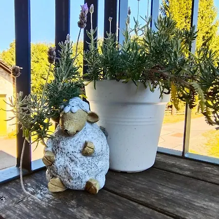 Apartment Herzblick Sankt Georgen im Gailtal