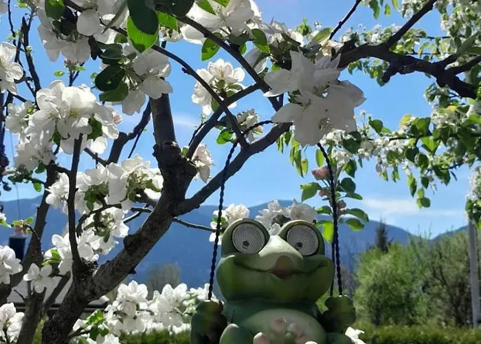 Herzblick Apartamento