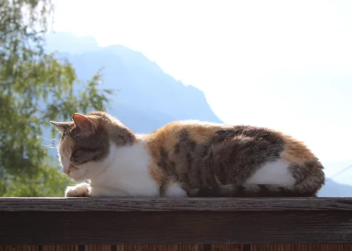 Herzblick *