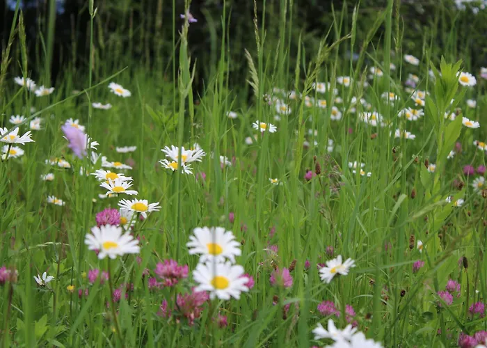 Herzblick Appartamento Sankt Georgen im Gailtal